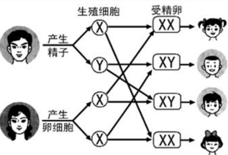 子宫肌瘤和宫颈息肉能一同做手术吗(子宫肌瘤大于5cm