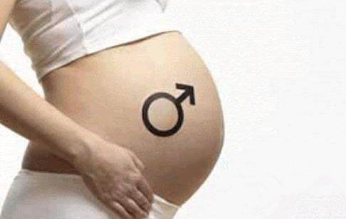 香港验血查男女的费用需求多少